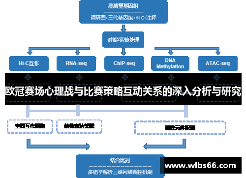 欧冠赛场心理战与比赛策略互动关系的深入分析与研究