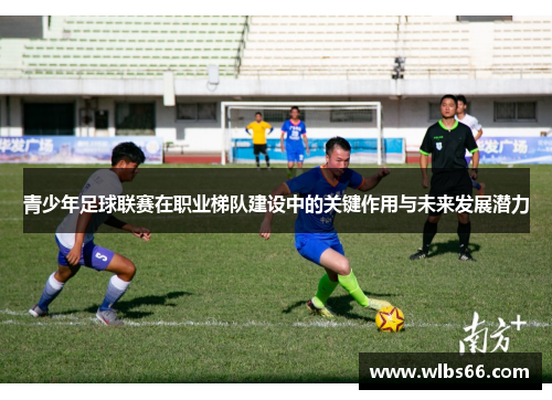 青少年足球联赛在职业梯队建设中的关键作用与未来发展潜力
